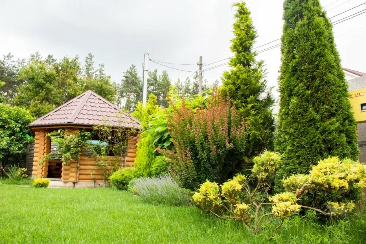 https://komsomolsk-na-amure.tgv-stroy.ru/storage/app/uploads/public/637/ef4/fb3/637ef4fb3605f391429275.png